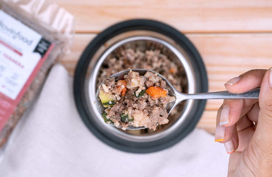 5 mitos sobre comida cocinada para mascotas