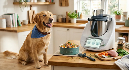 Recetas para perros en Thermomix: guía completa fácil y saludable