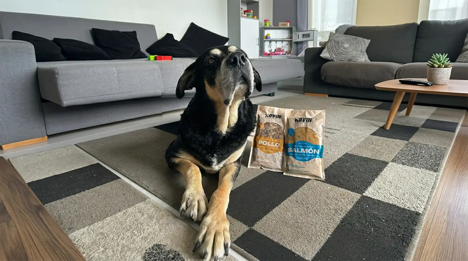 Cantidad de comida natural que necesita un perro