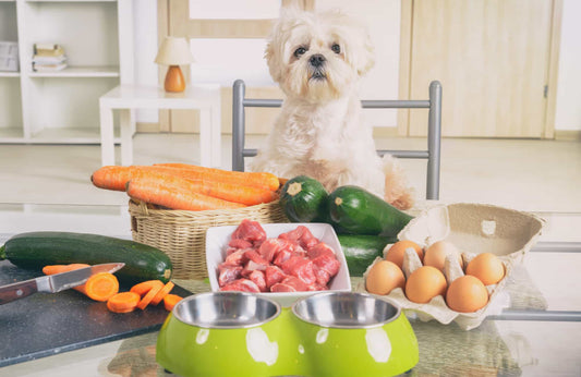 Alimentación BARF: ¿Cuáles son sus riesgos?