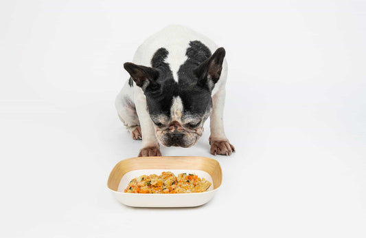 La ciencia detrás del alimento natural para perros de Rovinfood