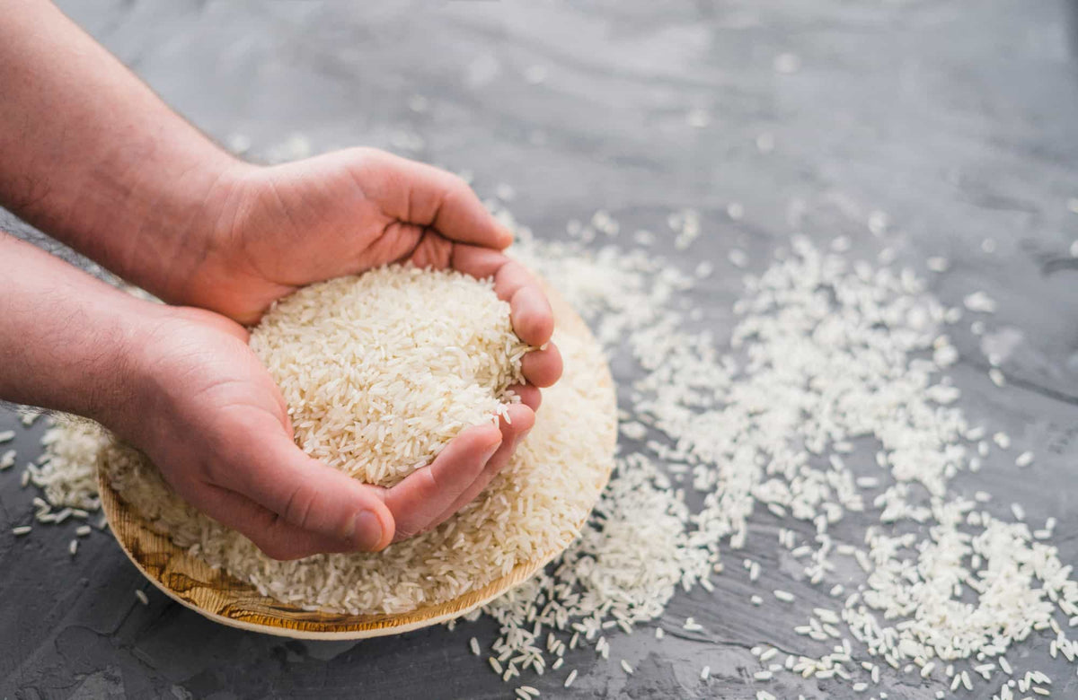 ¿Es bueno el arroz para perros?