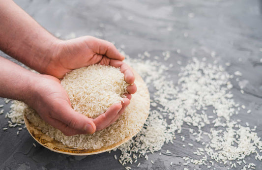 ¿Es bueno el arroz para perros?