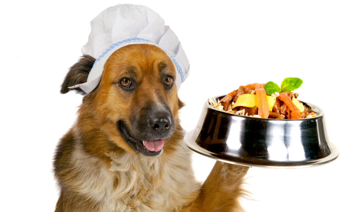 ¿Cocinar comida para mi perro o darle Rovinfood?