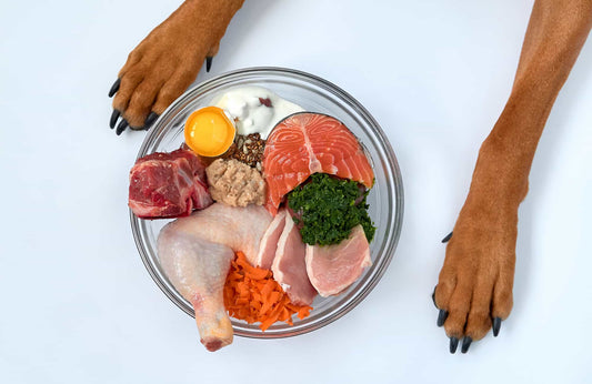 Comida BARF para perros