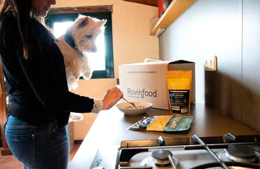 ¿Cómo mejorar la salud de mi perro mediante la alimentación?