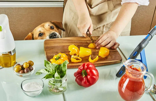 ¿Es buena la comida vegana para perros y gatos?