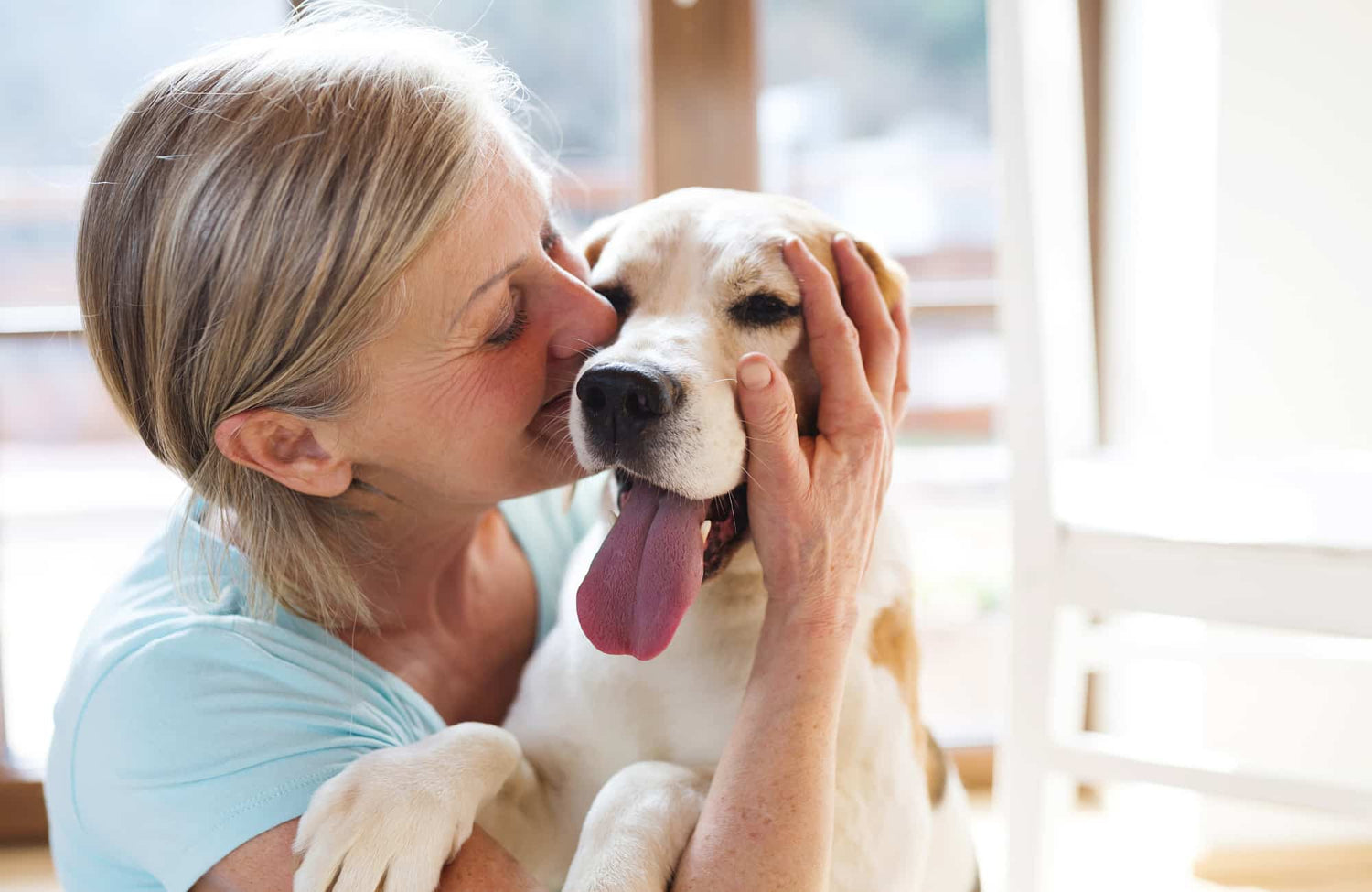 Insuficiencia renal en perros: síntomas, fases y tratamiento