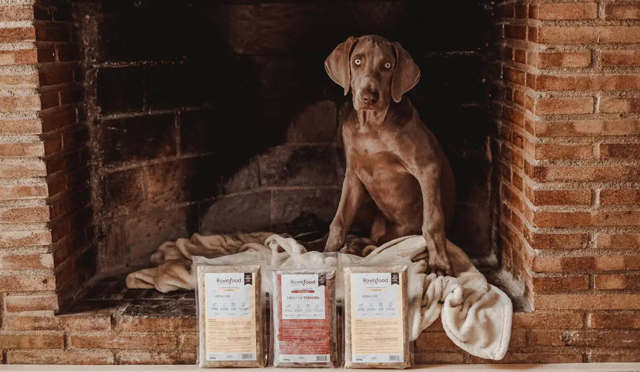 La alimentación natural para perros y gatos Rovinfood, el Realfood para mascotas