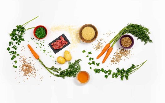 Las bases de la dieta Rovinfood, recetas saludables para mascotas