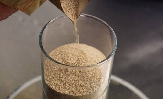 Levadura de cerveza, un superalimento para perros y gatos