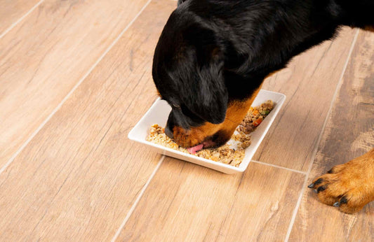 Recomendaciones de calcio y fósforo en la formulación de dietas para cachorros y su implementación en dietas comerciales cocinadas congeladas