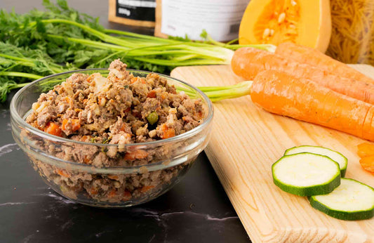 Suplementos alimenticios naturales para perros