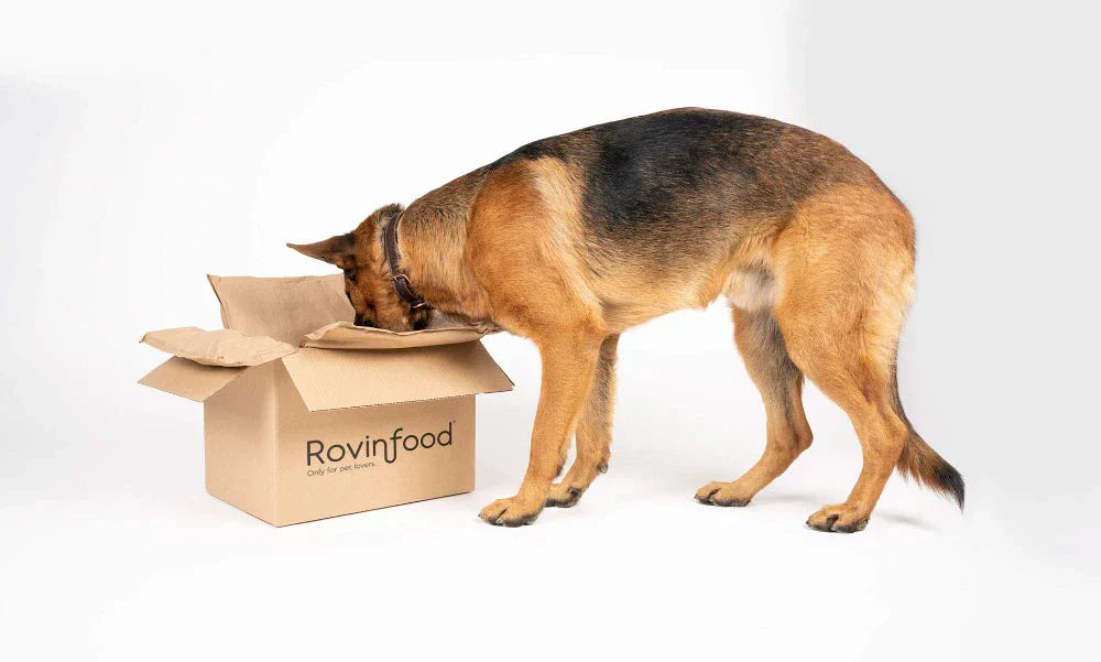 ¿Qué diferencia hay entre Rovinfood y un pienso convencional?