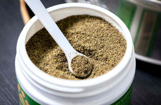 Los 5 suplementos para perros y gatos fundamentales para su nutrición