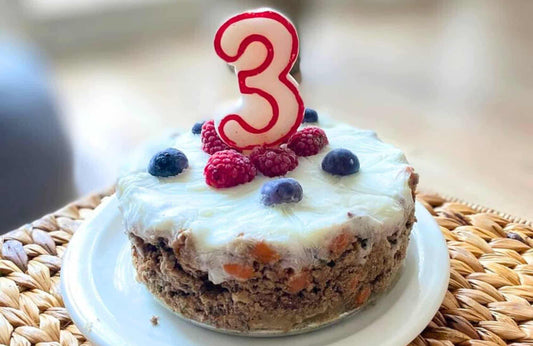 Cómo hacer una tarta de cumpleaños para perro