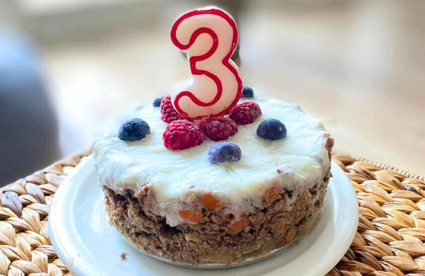 Cómo hacer una tarta de cumpleaños para perro