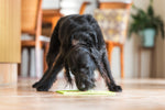 LickiMat Classic Buddy - Alfombra de lamer antiestrés para perros