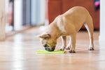 LickiMat Classic Buddy - Alfombra de lamer antiestrés para perros