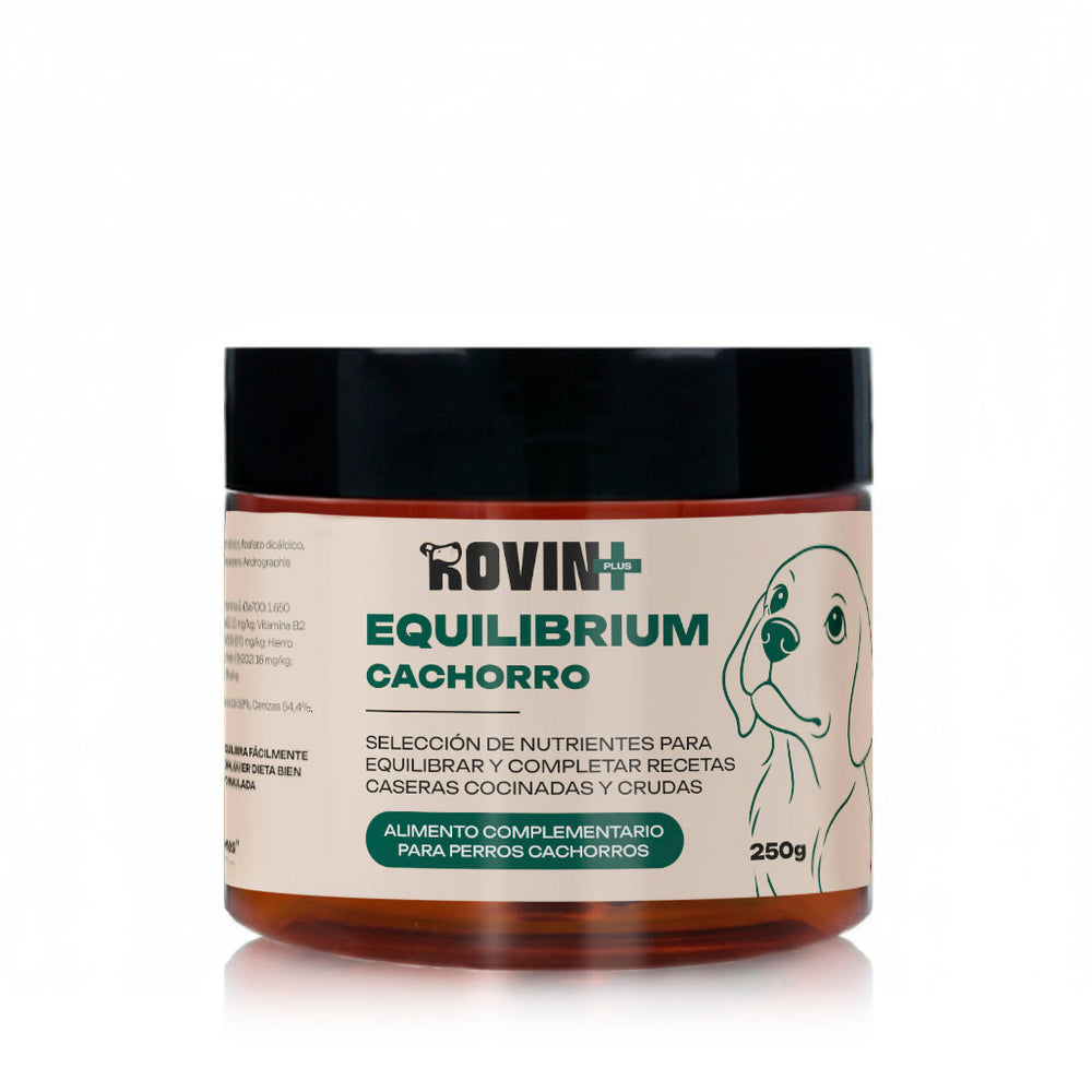 Equilibrium Cachorros